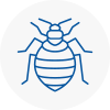 Bed Bug Extermination In Barking