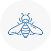 Bee Nest Removal Barking