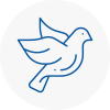 Bird Prevention Barking