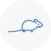 Mice Exterminators In Barking