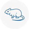 Rat Control Barking