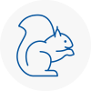 Barking Rodent Removals