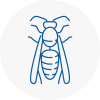 Barking Wasp Nest Removal